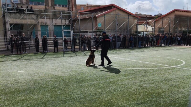 A scuola di Legalità: i Carabinieri tra i più giovani