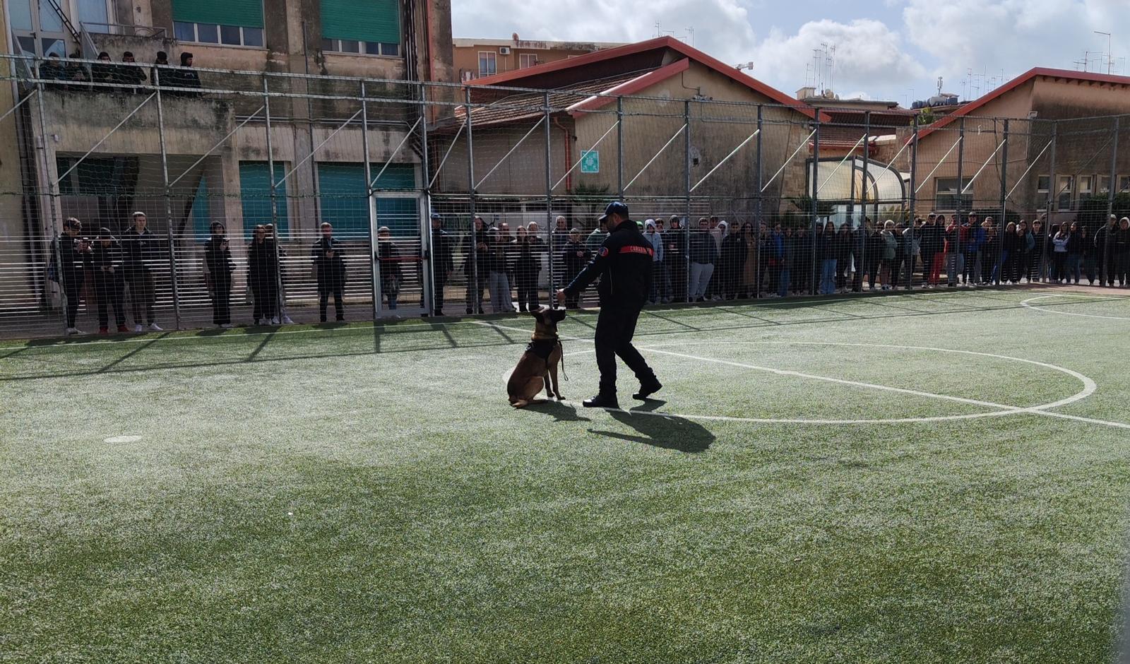 A scuola di Legalità: i Carabinieri tra i più giovani