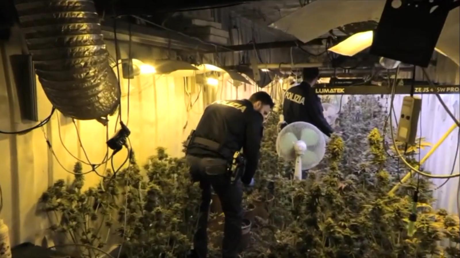 Francofonte, serra di marijuana nascosta nel Bunker