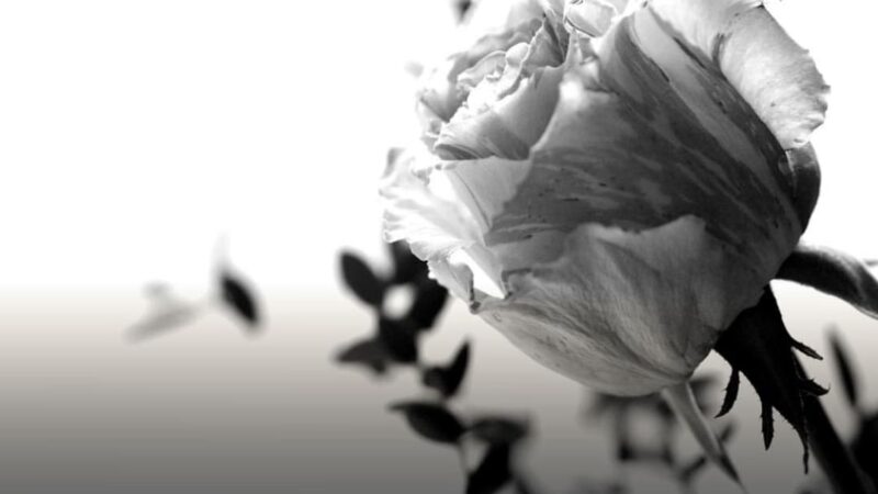 Lutto cittadino a Noto, oggi i funerali della piccola Silvia