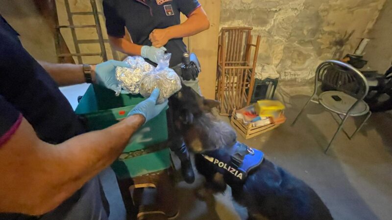 I Cani poliziotto Ares e Maui all’opera per il contrasto dello Spaccio di Droga