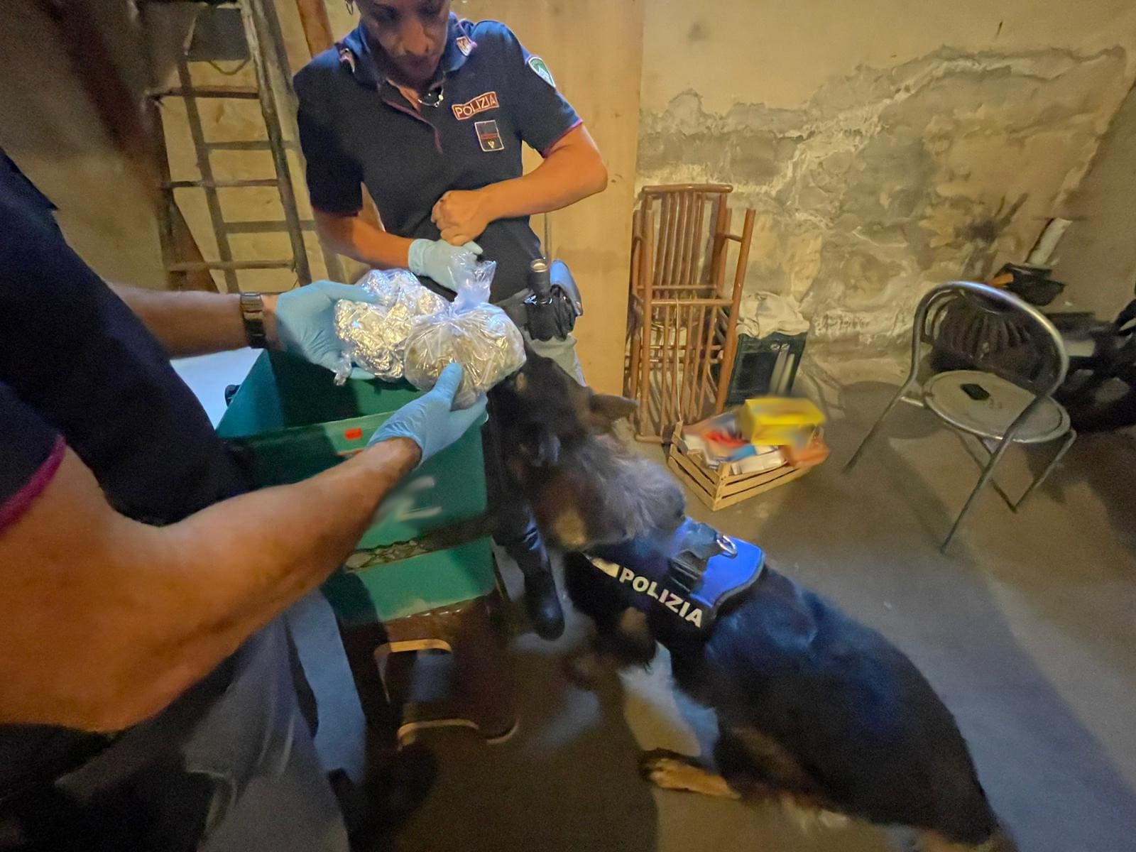 I Cani poliziotto Ares e Maui all’opera per il contrasto dello Spaccio di Droga