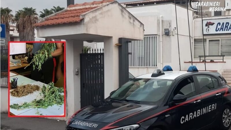 Coltivava Cannabis nel terreno di casa, arrestato 50enne