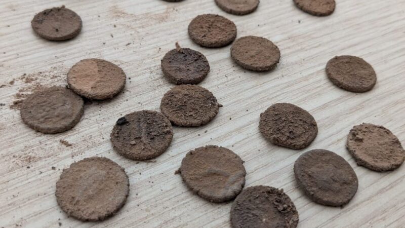 Rinvenute a Pantelleria ben 27 monete d’argento dell’Antica Roma