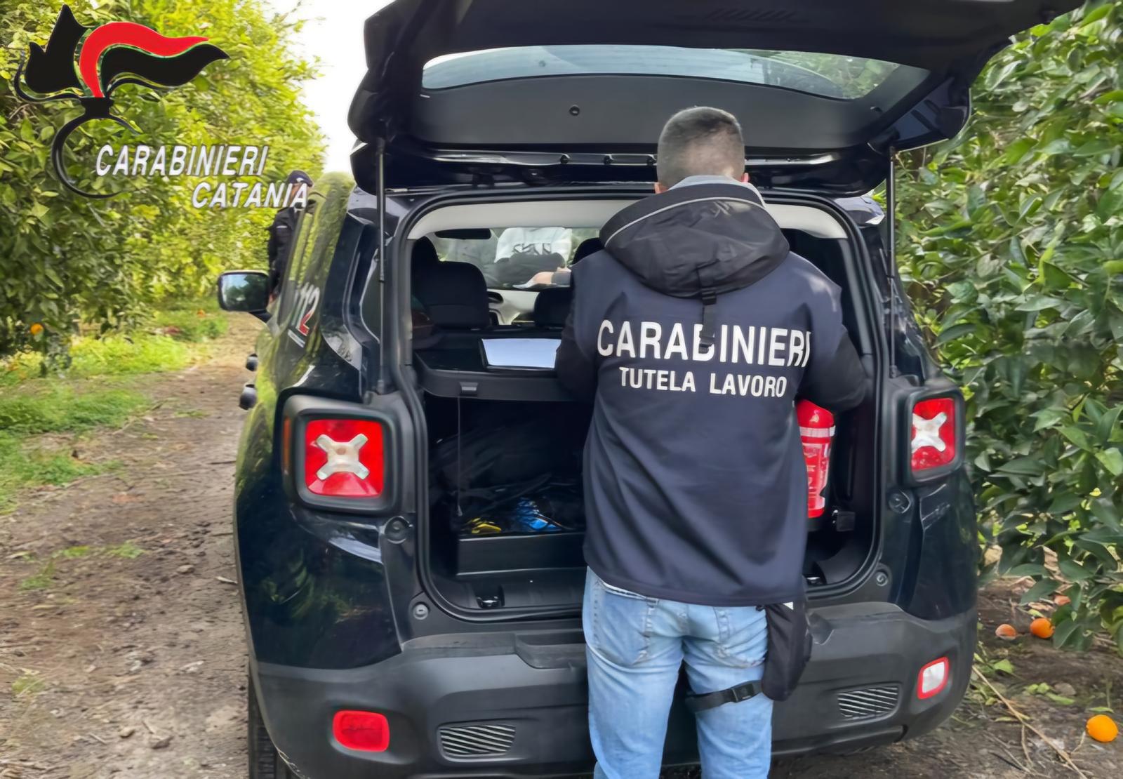 Caporalato: denunce e sanzioni nel Catanese