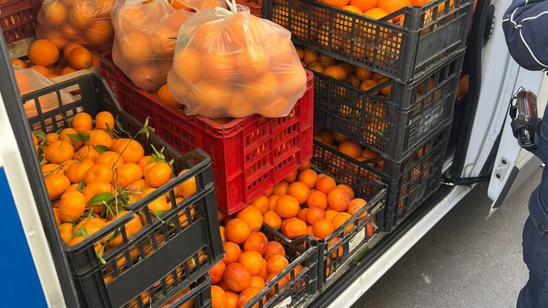 Maxi sequestro di 2 tonnellate di agrumi privi di tracciabilità