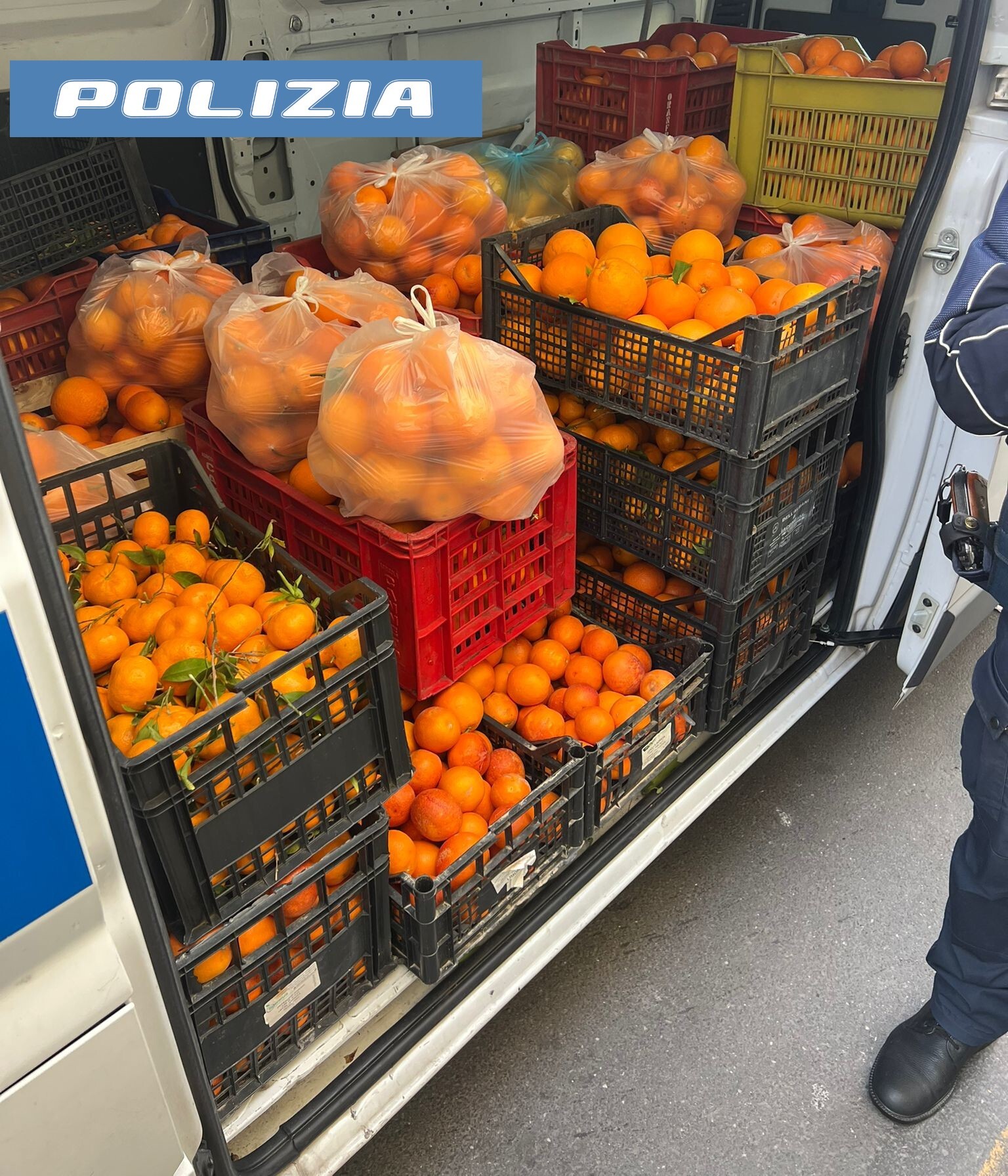 Maxi sequestro di 2 tonnellate di agrumi privi di tracciabilità