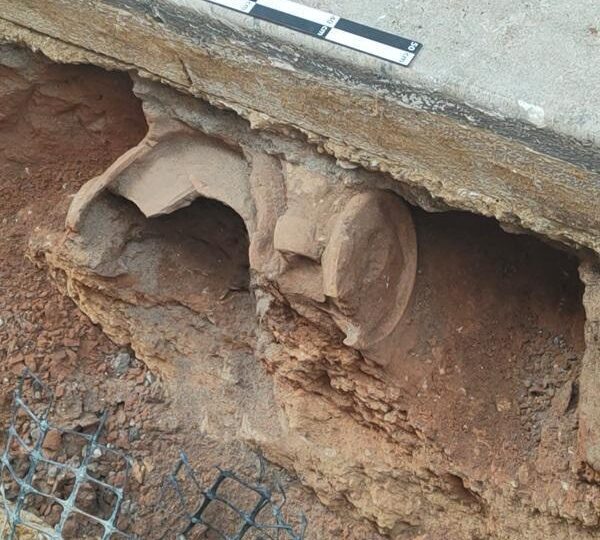 Archeologia, reperti della Regione esposti a Gela