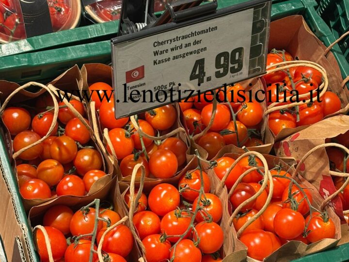 In Germania Ciliegino della Tunisia a 10 Euro al Kg: vergognoso!