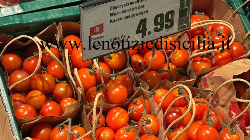 In Germania Ciliegino della Tunisia a 10 Euro al Kg: vergognoso!