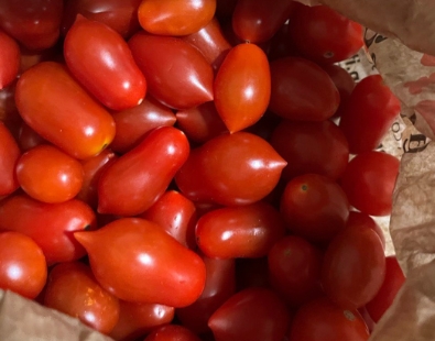 Di Fede a Marzamemi: dove nasce la storia del Pomodoro di Pachino IGP