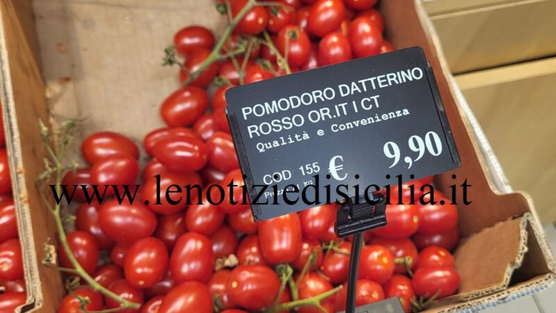 A Ragusa il Datterino diventa un bene di lusso: 9,90 euro al chilo